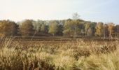 Percorso A piedi Sconosciuto - Wander-Tour Fischbeker Heide - Photo 4