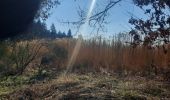 Trail Walking Bertrix - marche adeps biourge - Photo 7