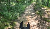 Trail Horseback riding Vigy - 2024-07-18_100557.gpx - Photo 6