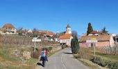 Tour Wandern Mittelweier - Les perles du vignoble  : Mittelwihr - Beblenheim - Zellenberg - Hunawihr - Riquewihr. - Photo 9