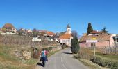 Excursión Senderismo Mittelwihr - Les perles du vignoble  : Mittelwihr - Beblenheim - Zellenberg - Hunawihr - Riquewihr. - Photo 9