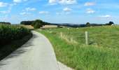 Trail On foot Dinant - Promenade de Walzin - Photo 1