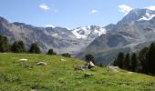 Tocht Te voet Stilfs - Stelvio - IT-25 - Photo 8