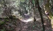 Randonnée Marche Pradelles-Cabardès - Pradelles Cabardès - Photo 20