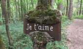 Tour Wandern Montigny-le-Tilleul - BE-Montigny-le-Tilleul - Landelies - Aulne - 2 - Photo 12