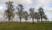 Tour Zu Fuß Gingelom - Zevenbronnenwandeling - Photo 4