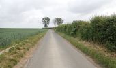 Tour Zu Fuß Genappe - #200523 - Loncée, Vallée de la Haute Dyle et Houtain*** - Photo 18