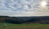 Tour Wandern Bouillon - Corbion - pont de l’Epinet - Photo 15