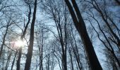 Tour Wandern Lyons-la-Forêt - 20220326-L'Essart Mador - Photo 6