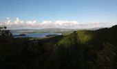 Tocht Stappen Les Trois-Îlets - Morne Gardier - Morne du Riz - Photo 8