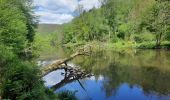 Randonnée Marche Houffalize - lac de Nisramont  - Photo 11