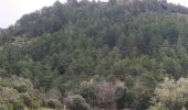 Tocht Stappen Villeneuve-Minervois - pujol de bosc castanviel - Photo 11