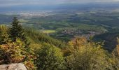 Tour Wandern Ottrott - Mont St Odile - Mur Païen - Grotte des Druides - Sentier des Merveilles - Photo 1