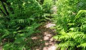 Trail Walking Ballancourt-sur-Essonne - Ballancourt-sur-Essonne - Photo 20