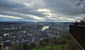 Trail Walking Liège - Liège 🎄🎅 (Thier-à-Liège, Pierreuse, Montagne Ste Walburge) - Photo 19