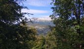 Trail Walking Annecy - Belvédère mont Baron - Photo 1