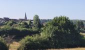 Tocht Stappen Meix-devant-Virton - rando gerouville 6-07-2023 - Photo 16