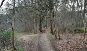 Trail Walking Spa - la havette . berinzenne . thier des rexhons . source geronstere . source barisart .  chapelle de la Roche . la havette  - Photo 15