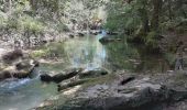 Trail Walking Mazaugues - Saut du Cabri gorges du Carami - Photo 11