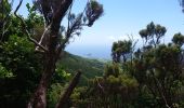 Tour Wandern Água de Alto - Lago de fuego - Photo 16