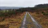 Trail Walking Lierneux - Promenade vers la fagne de la Crépale  - Photo 6
