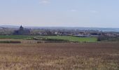 Trail Walking Audresselles - Cran le Noirda - Photo 2