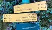 Trail Walking Lussan - Les conclusse depuis Pradeilles - Photo 5