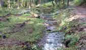 Tour Wandern Nassogne - Nassogne 070921 - Photo 7