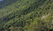 Trail Walking Lauret - Lauret - Rocher du Causse - Moulin de Lafous - Lauret - Photo 1