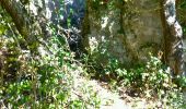 Trail Walking La Roquebrussanne - la roquebrussanne - Photo 5