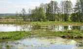 Tour Zu Fuß Wildeck - Rhäden-Rundweg - Photo 8