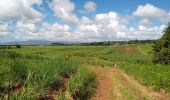 Tour Wandern Rivière-Salée - Lapalun cannes à sucre - Photo 3