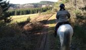 Tocht Paardrijden Wellin - Promenade chanly - Photo 1