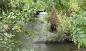 Tocht Noords wandelen Ettelbruck - Lee trail    Ettelbruck - Michelau - Photo 9