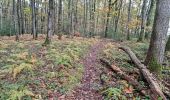 Tocht Stappen Vendôme - Promenade dans la forêt de Vendôme  - Photo 4