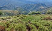 Trail Walking Arphy - les cascades d orgon - Photo 2