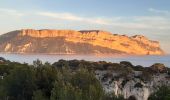 Tocht Stappen Cassis - Port Miou - Photo 1