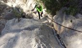 Trail Walking Ollioules - Destel azur  - Photo 12