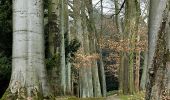 Tour Zu Fuß Unbekannt - Rundwanderweg Kruppwald A1 - Photo 7