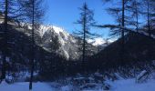 Randonnée Raquettes à neige Orsières - Champex Lac - La Breya - Champex Lac - Photo 13