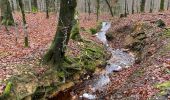 Randonnée Marche La Roche-en-Ardenne - Vecmont - Photo 15