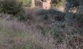 Trail On foot Fréjus - z le Capitou 29-01-19 - Photo 2