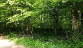 Tour Wandern Chaumont - corgebin Sentier bleu - Photo 1