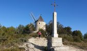 Tocht Stappen Boulbon - Boulbon et le Moulin Bonnet - Photo 12