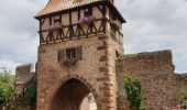 Percorso Marcia Châtenois - Le Hahnenberg et les balcons de Sélestat - Photo 2