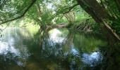 Tour Wandern Montigny-sur-Loing - sorques-12 mai 2023  - Photo 13