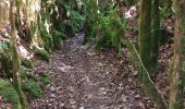 Trail Walking Villes-sur-Auzon - Bergerie du Pas du Loup par les Gabriels et la Sône 30/05 - Photo 5
