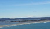 Tour Wandern Leucate - la franqui - phare du cap de leucate / retour par la falaise et la plage  - Photo 10