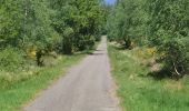 Percorso A piedi Spa - Domaine de Bérinzenne et arboterum de Tahanfagne - Photo 3