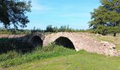 Tocht Stappen Curçay-sur-Dive - Curçay sur dive - Photo 10